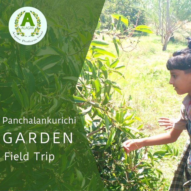 Field Trip Class 3